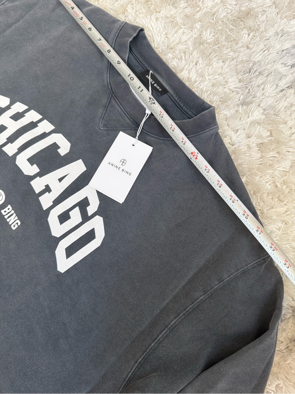 NWT Anine Bing Womens Sweatshirt University Chicago Washed Black Sz XL - Picture 7 of 11